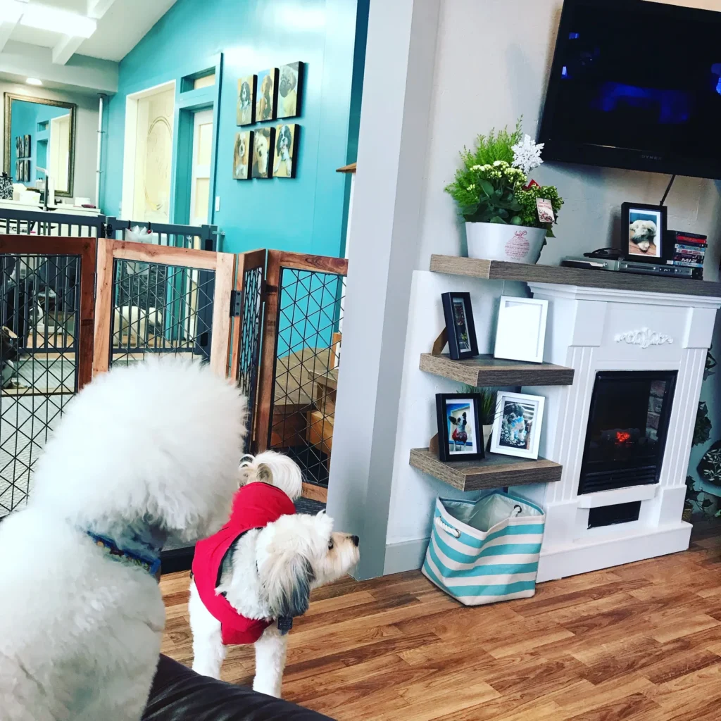 barrk Bubbles interio 2